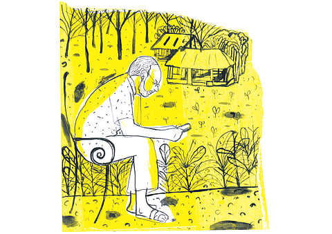 illustration