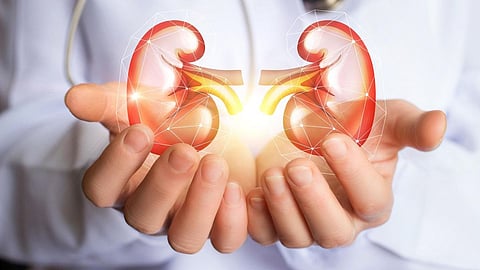 Kidney Health