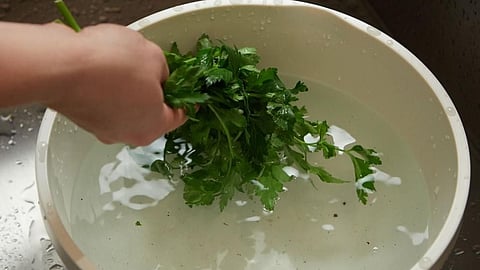 socking vegetables in salt water