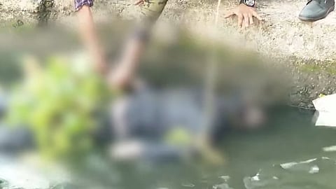 Dead Body