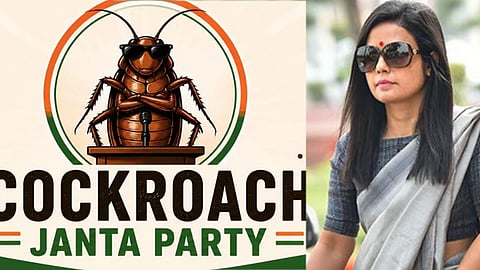 cockroch party