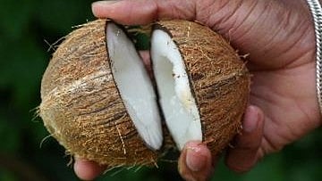 Coconut freshness tips