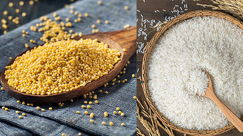 Millet vs Rice