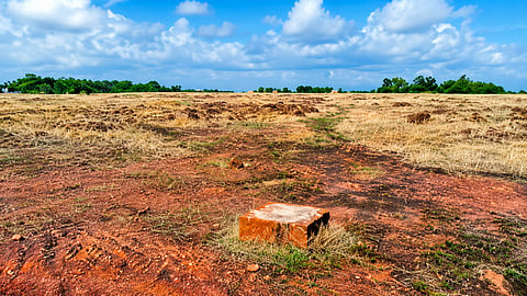 Land for yoga kendra Karinthalam