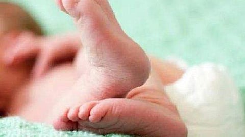 Newborn baby