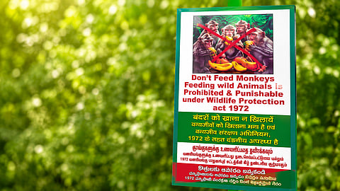 Wild Life Warning Board