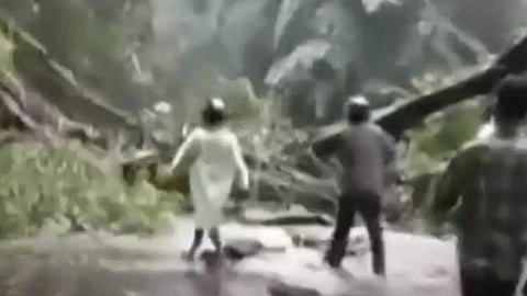 Tree falls at Thamarassery pass; Traffic jam for hours