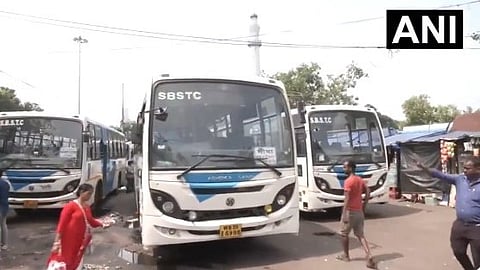 Bengal Free bus travelling