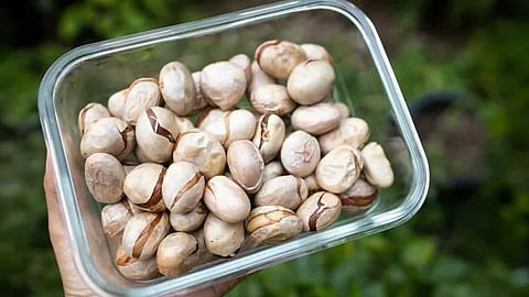 Chakkakuru Recipe