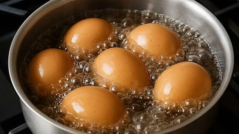 Boiling Eggs, Precausions against Shigella at home