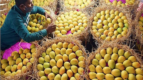 Mangoes