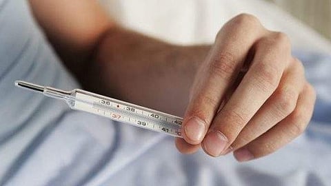 41 people die of fever in 13 days