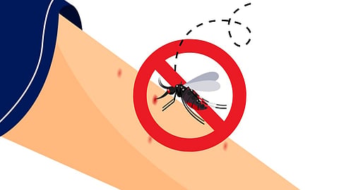 Malaria 