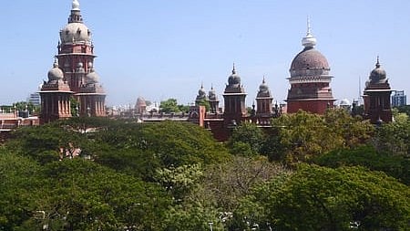  Madras High Court 