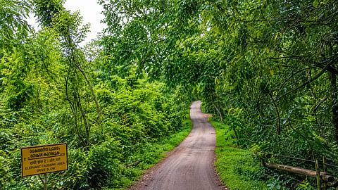  Kundadkam-Cherkala road a