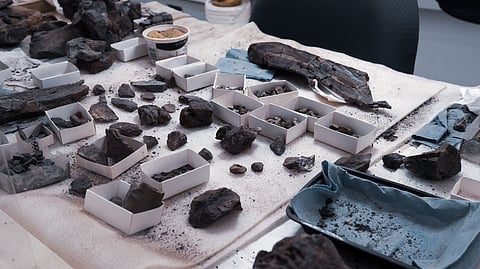 Anthropological Sciences Course 