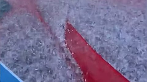 Sardine deluge at Kayamkulam Valiyezhikkal