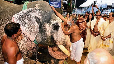 Elephant Dedication
