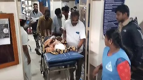 Bear attacks after tiger attack in Valparai