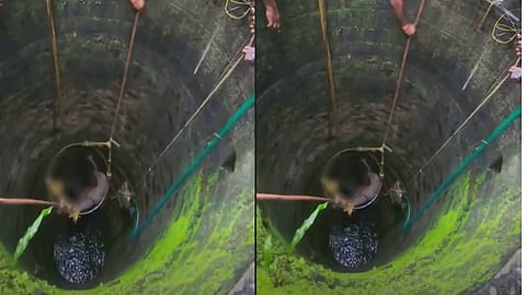 Mother and child fell into a well, neighbor jumped in to save them
