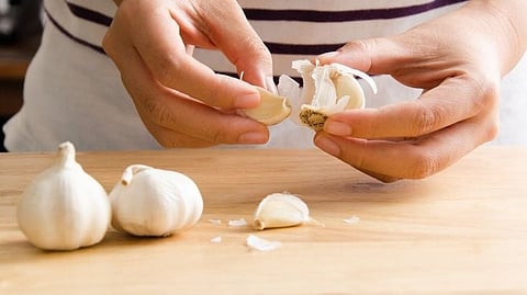  garlic