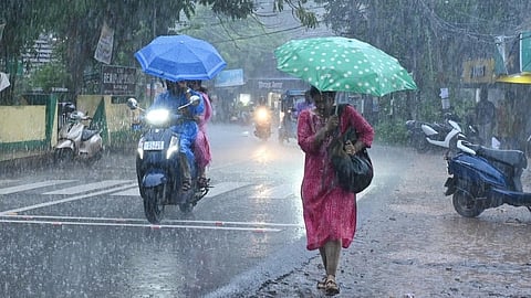 kerala rain