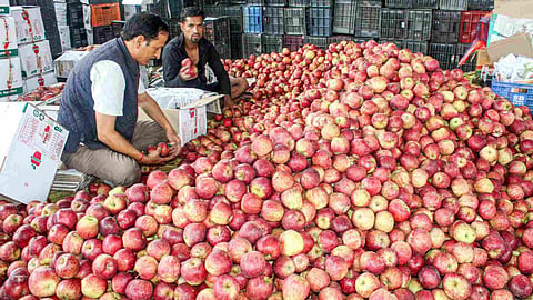 apple market