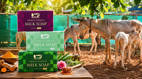 Miracle Donkeys Soap