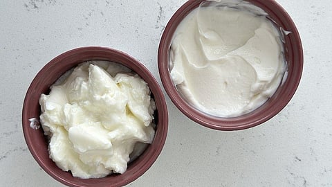 Yogurt vs Curd