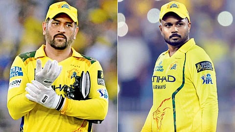 msd sanju