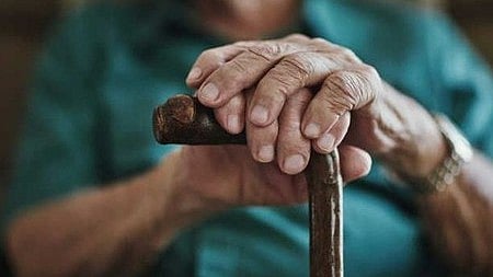 LIC PENSION PLAN