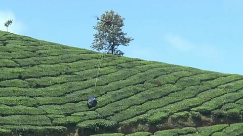Drone Munnar