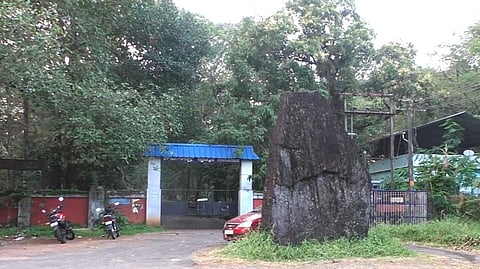 Pulachikallu 