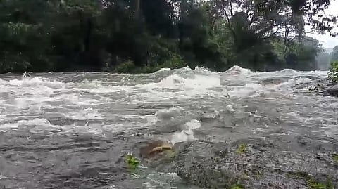 Manaliyar|Idamalakkudi