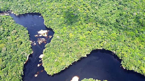 UAE-led 'Green Shield 2026' seizes over $280m in environmental crime crackdown across Amazon basin