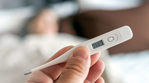 Chandipura Virus