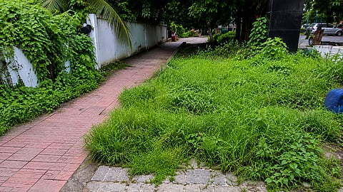 Cycle track
