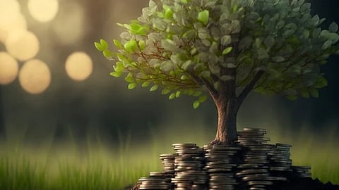 Flexi-Cap Funds