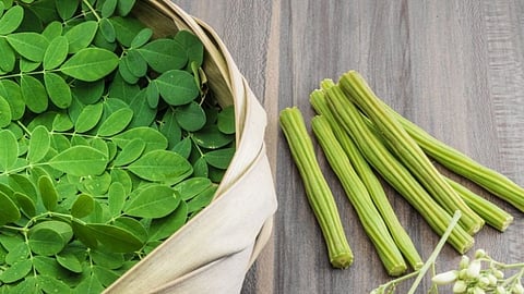 Moringa Leaves, Anaemia