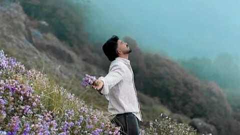 Forest Department has registered a case regarding the incident of plucking Neelakurinji flowers in Munnar.