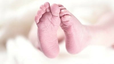 Child attacked