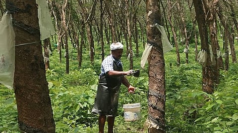 Kerala Rubber Limited jobs 2026 