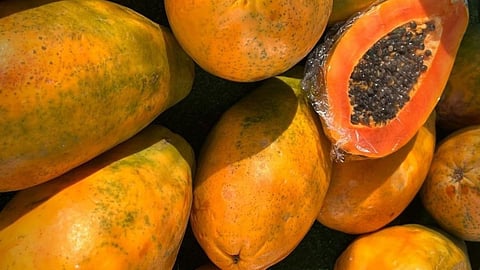 Papaya Health Benfits