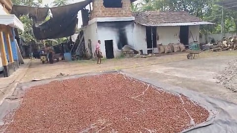 Last Arecanut Processing Unit Chalakudy