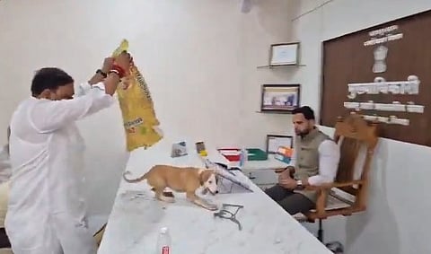 Yuva Sena workers release strays inside Nashik civic chief’s office