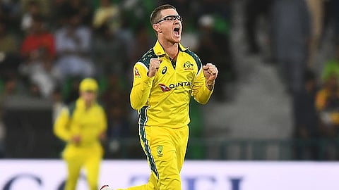Adam Zampa wicket celebration