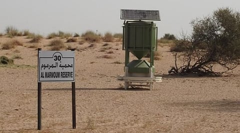 AI to feed animals; UAE introduces smart wildlife feeder.