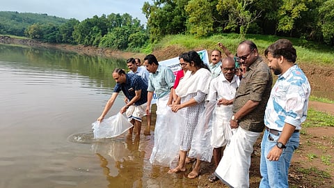 Fish Seeds Release Kannur 