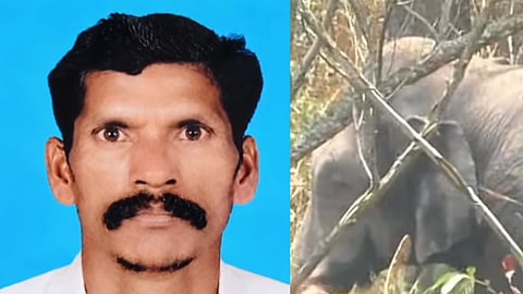 One person died in a wild elephant attack in Idukki