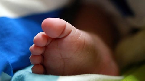 infant